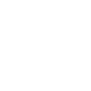 Pizza N Pasta Planet White Logo Website and Online Ordering by Order Eats Point of Sale by FrabPOS
